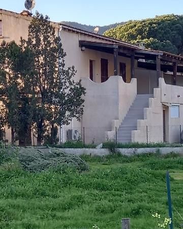 U Palmu Daire Sagone  Dış mekan fotoğraf