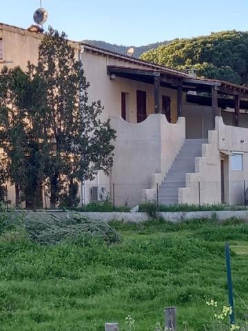 U Palmu Daire Sagone  Dış mekan fotoğraf