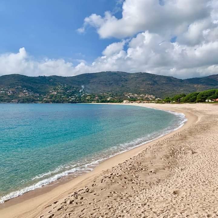 U Palmu Daire Sagone  Dış mekan fotoğraf